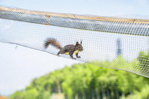 云上草原云山境楼盘详情安吉云山境价格户型安吉云山境欢迎您