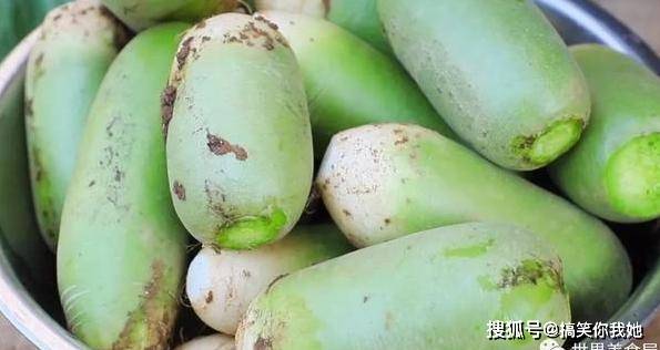 青萝卜的营养成分及功效青萝卜以其水分充足,口感脆嫩而备受青睐,被称