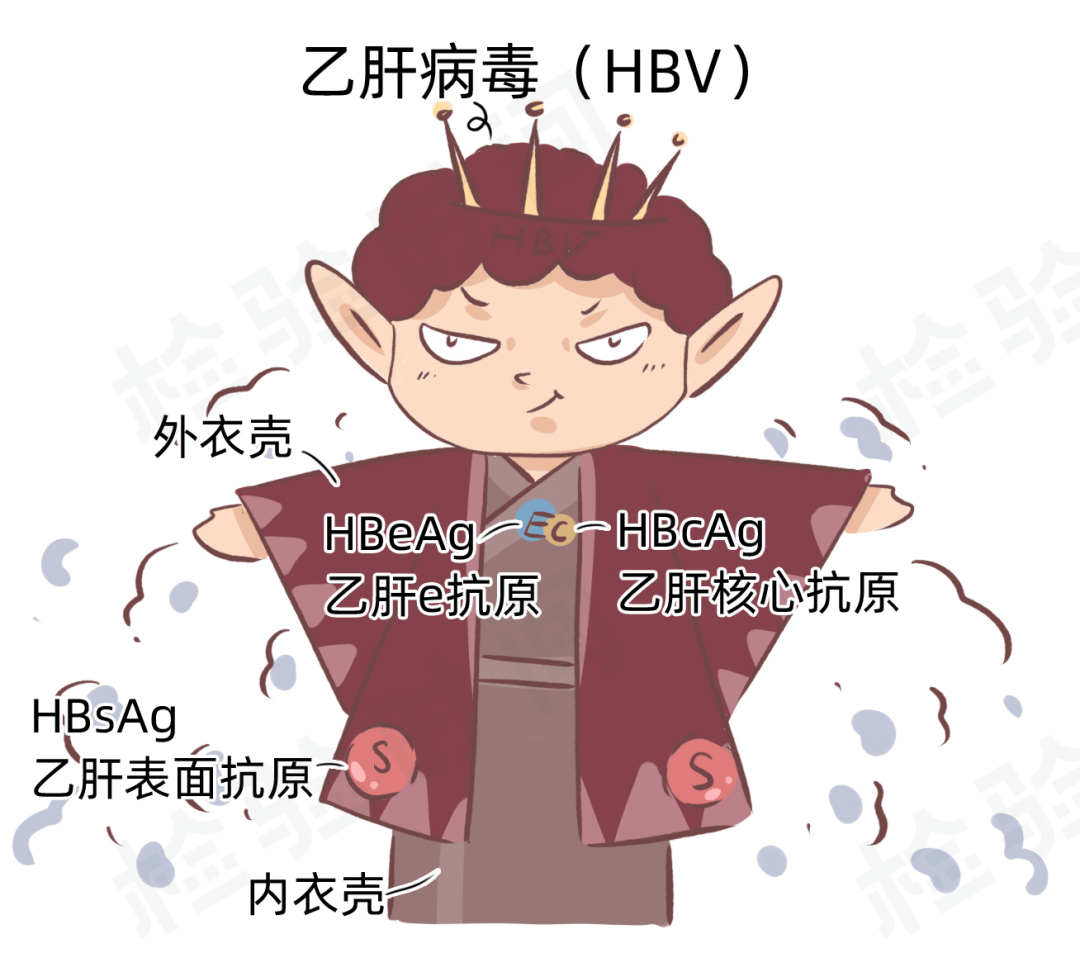 老年乙肝病因是什么