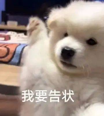 情侣日常聊天表情包