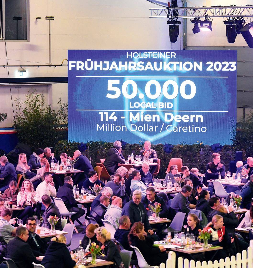 原创来了霍士丹马协会才知道母马竟比种公马还有价值