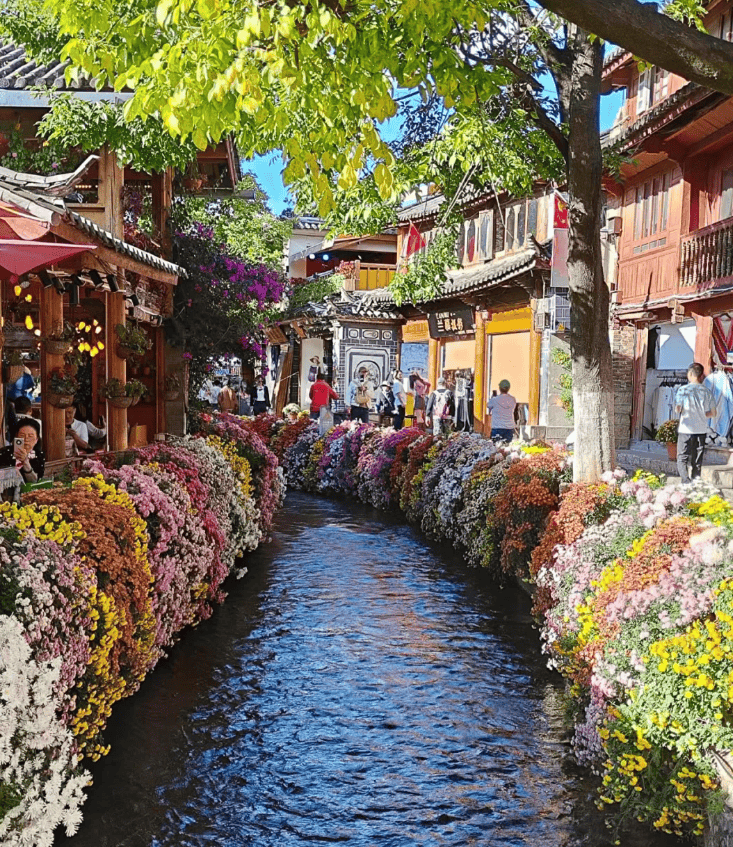 旅游路线云南玉龙雪山 云南旅游跟团多少钱_婷婷_景点_丽江古城