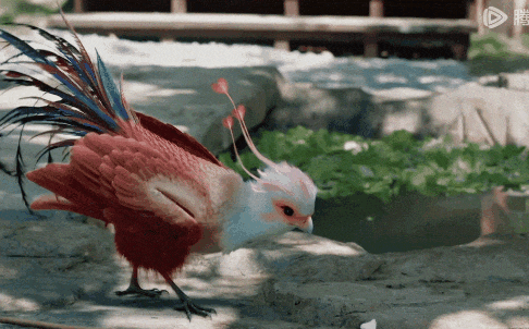 凤行首播霸气女王爷与病娇神君喜感十足小凤凰抢镜