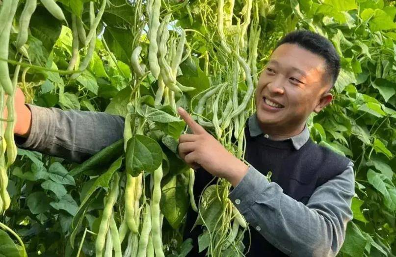 原创80后山东夫妻放弃5万月薪回村种菜一天卖了120万凭啥