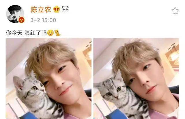 原创蔡徐坤学猫叫表情真逗陈立农晒和猫咪自拍爱猫男孩你pick哪个