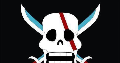 原创海贼王最美海贼旗日本网友票选结果竟无草帽团