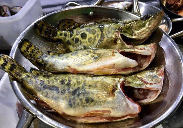 原创安徽黄山臭鳜鱼闻着臭吃着香去徽州地区必吃的美食