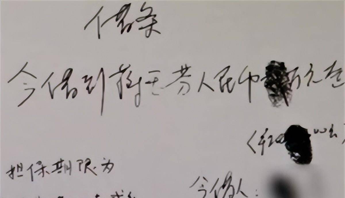 原创安徽女黑老大蒋玉芬表面风光女老板经商为名霸行一方终被惩
