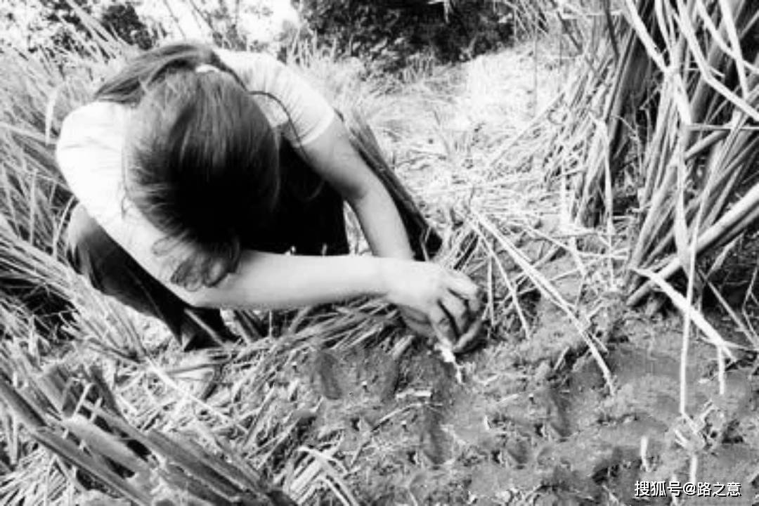 原创妻子找到失踪丈夫1991年襄樊市212特大杀人劫车侦破始末