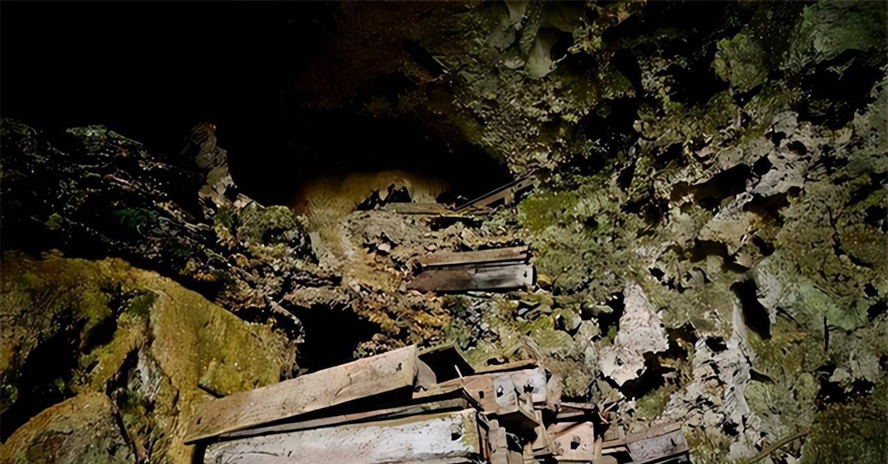 贵州背尸人以背尸背棺材为生徒手攀爬悬崖峭壁上堆满了棺材