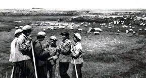 嫁入当地多次放弃梦想,晚年得以回上海_韦建华_付忠义_指导员