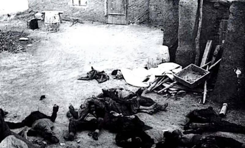 原创中世纪黑死病杀死2500万欧洲人为何却在东北被根除