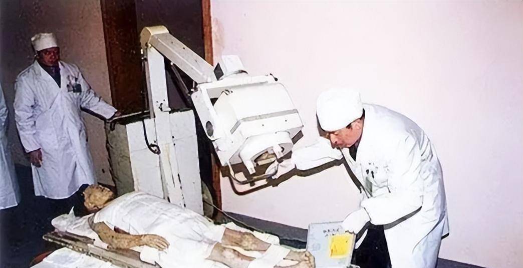 地发现,尸体的内脏居然完整地呆在原位,在后续进一步医学检查中发现