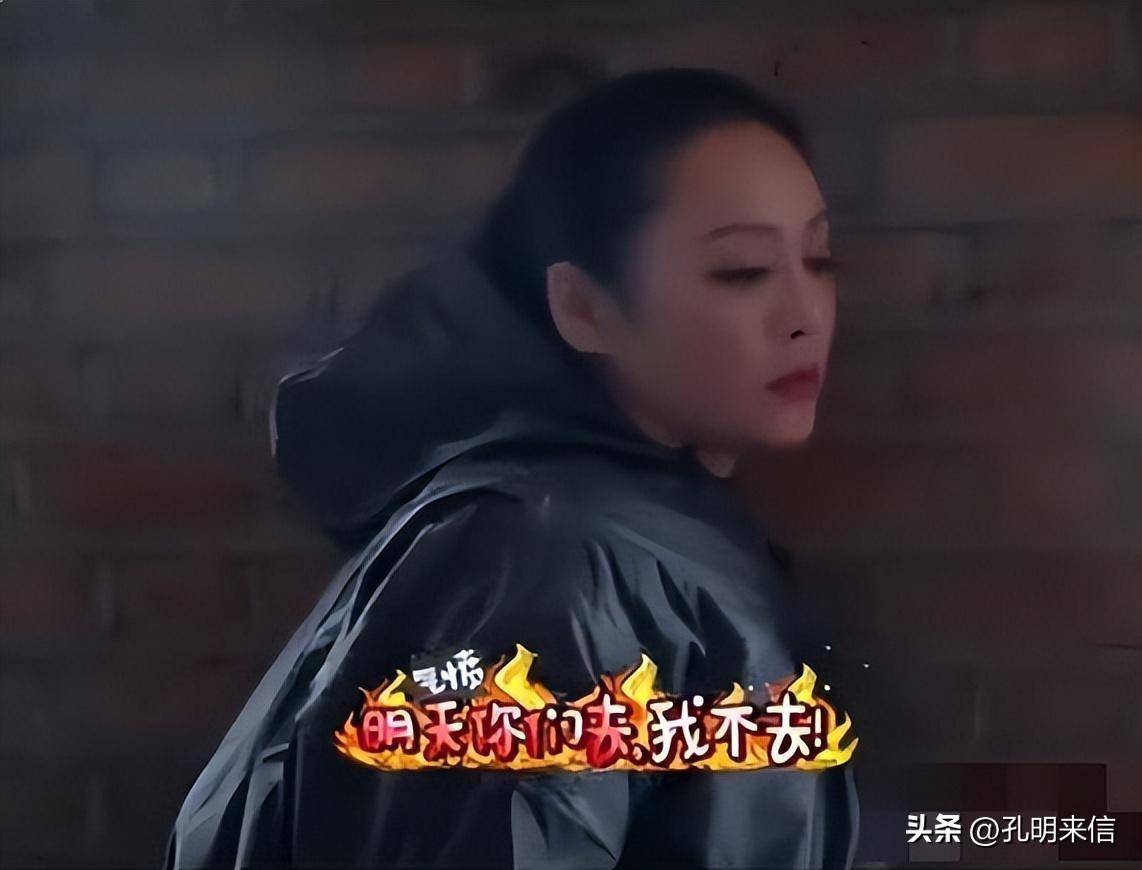 宁静:和姜文传绯闻,25岁嫁给美国前夫,52岁依旧追求自由_纪凌尘_保罗