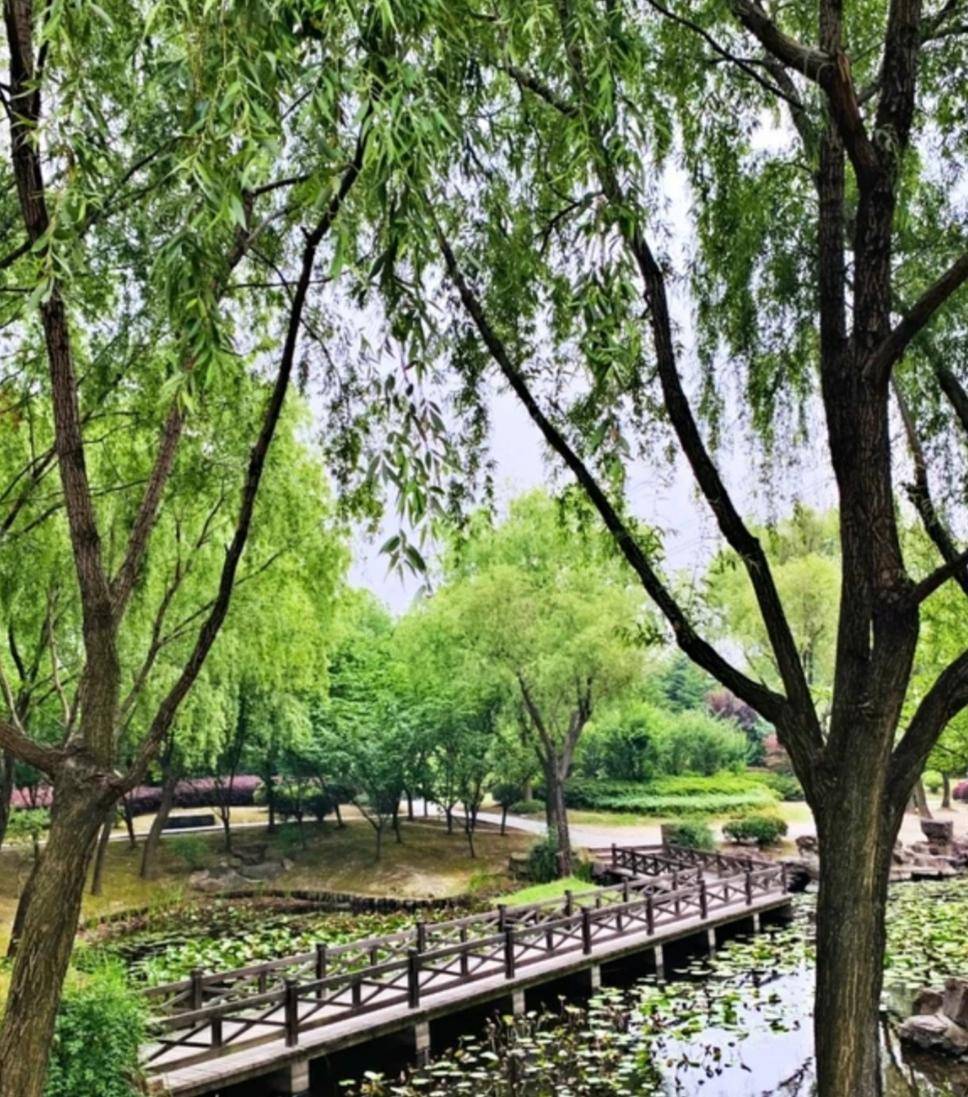 原创上海徐家汇宜山路小花园好美啊