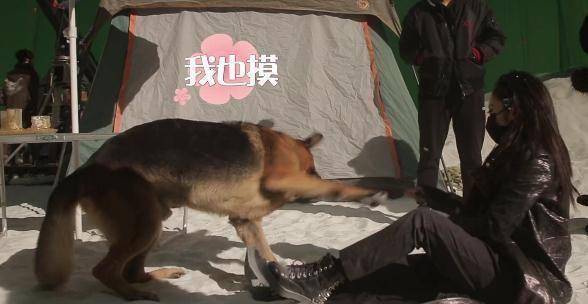 原创原创沙海小满哥镜头前威武高冷私下里却是和尹南风打成一片