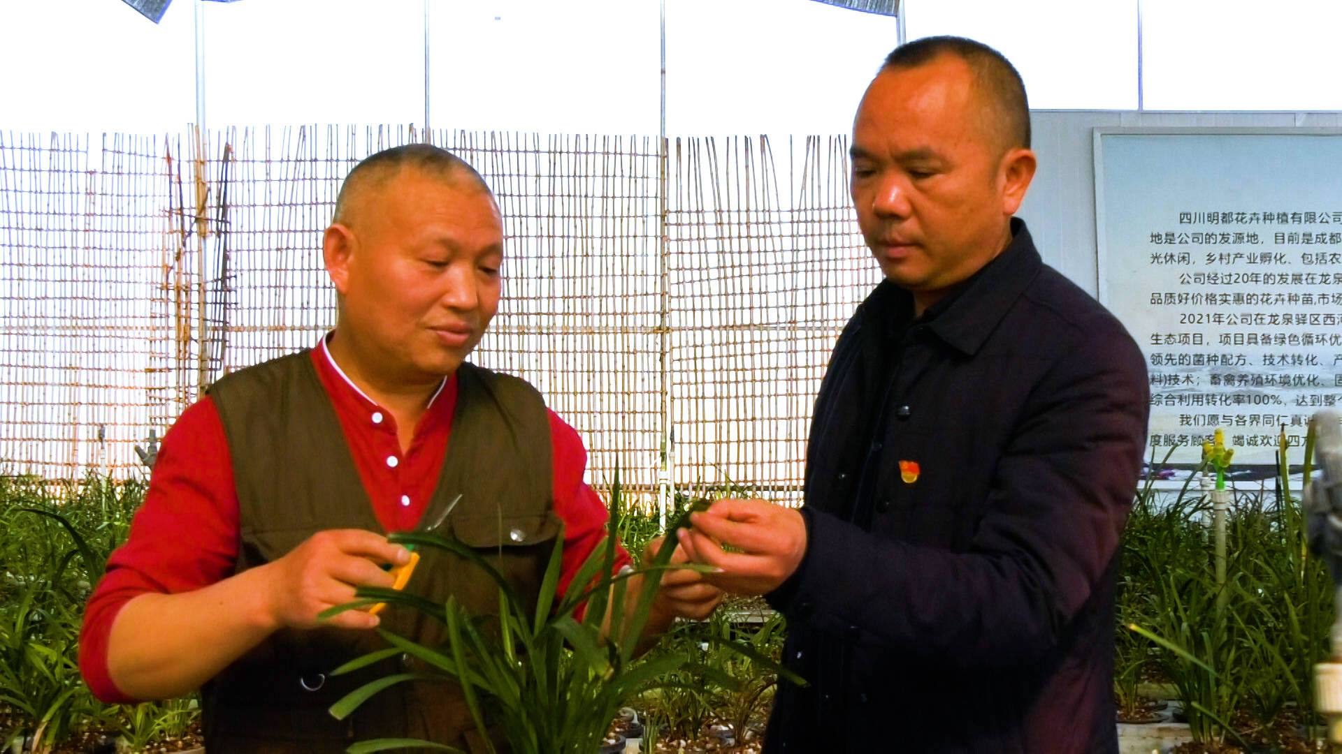 致富带头人典型材料养殖合作社的简单介绍