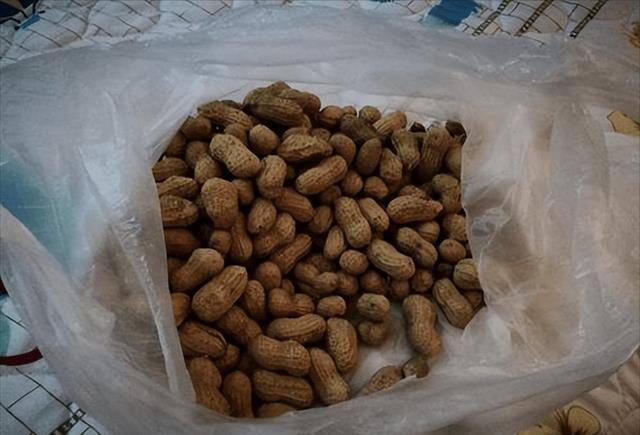 原创86年吉林女子回家探亲好心给男子一把花生救了全车厢人性命