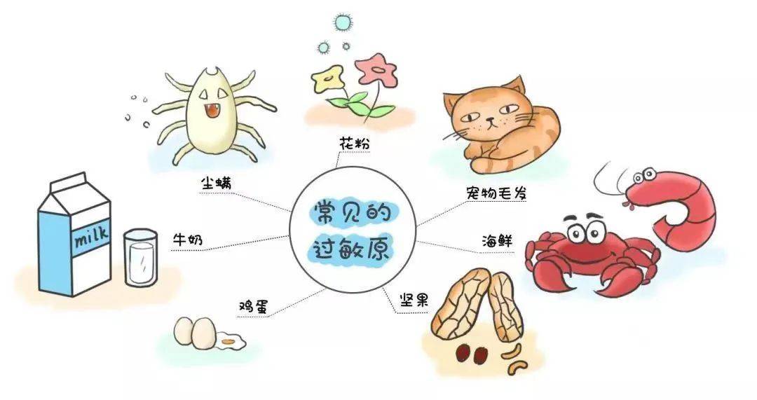 过敏原_建议_孩子