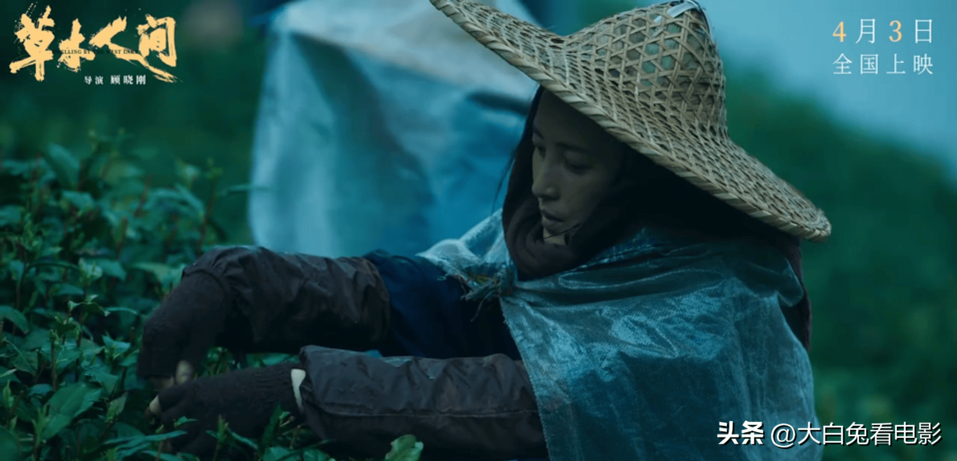 蒋勤勤误入传销,儿子吴磊杭州上演"目莲救母",《草木人间》_电影_老年