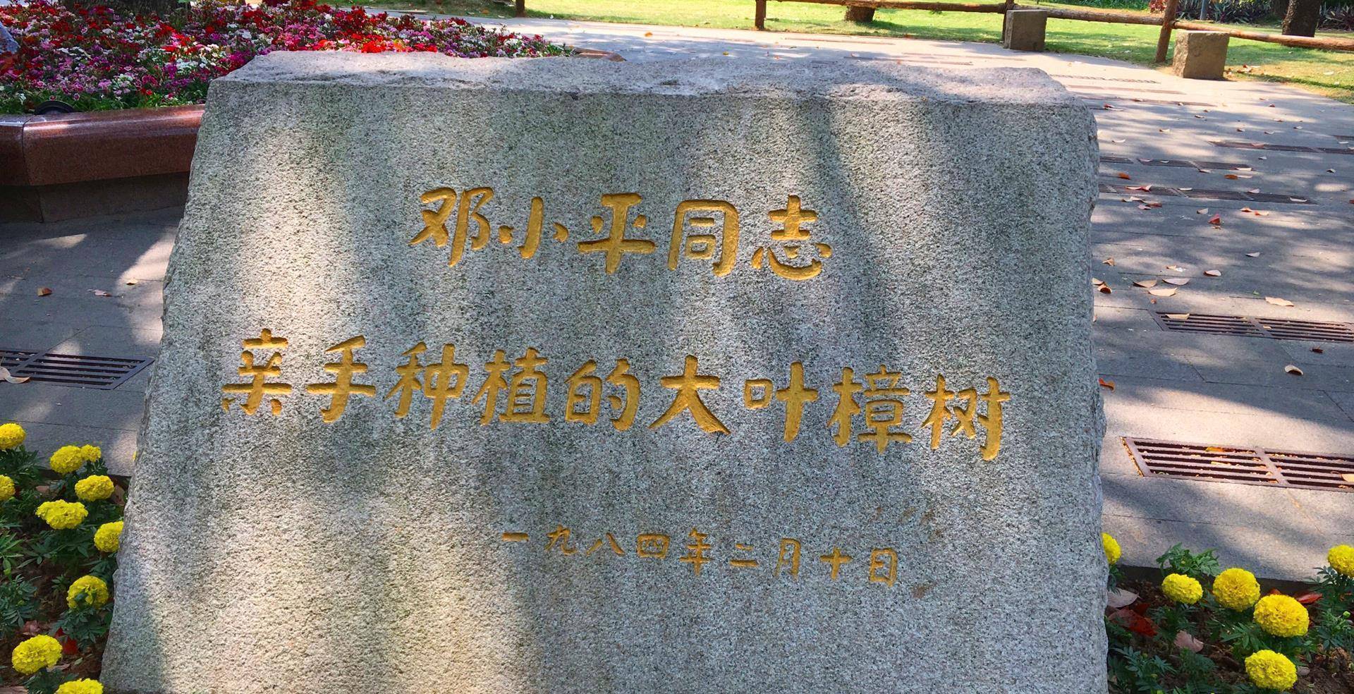 厦门这个植物园交通便利门票还免费是春节假期的好去处