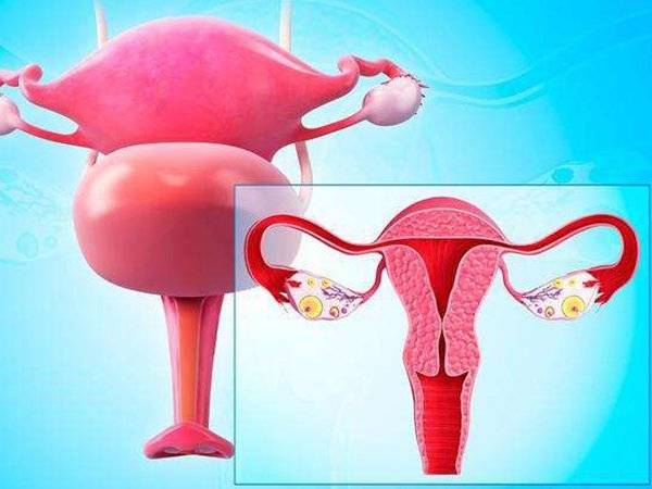 会影响卵子的质量,导致卵子异常或者染色体异常,增加生殖问题的风险