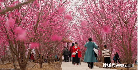 绵阳安州美景常打开免票让你玩到嗨