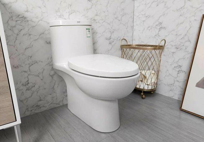 马桶越贵越好真相并非如此选购马桶要注意这8点实用最重要