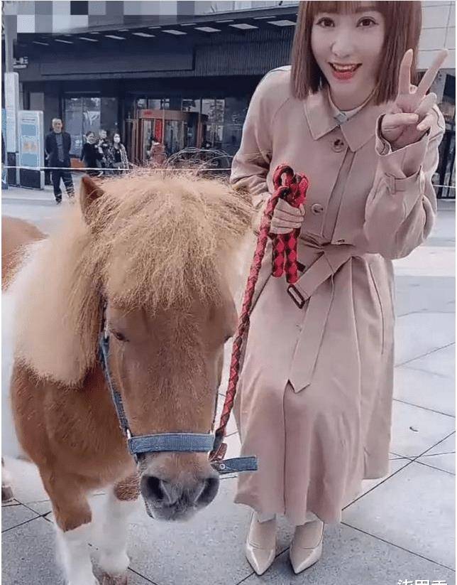 原创明星的宠物有多贵柳岩的马5万陆毅的豹猫15万霍思燕的最贵