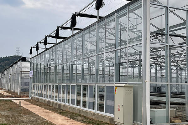 智能温室顶部用玻璃好还是阳光板好?