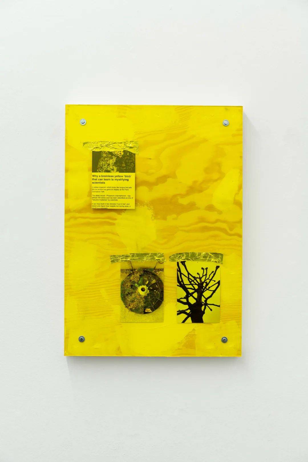 詹姆斯刘易斯jameslewis