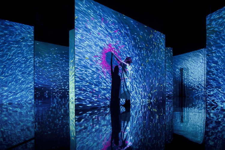 开往春天的列车穿行花海沉浸式投影带你与浪漫相汇