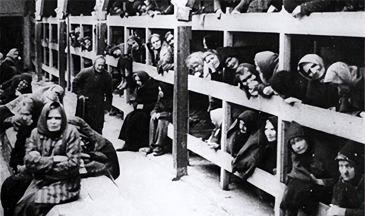 原创女孩对德军说叔叔可以把我埋浅点吗我怕妈妈找不到后来如何