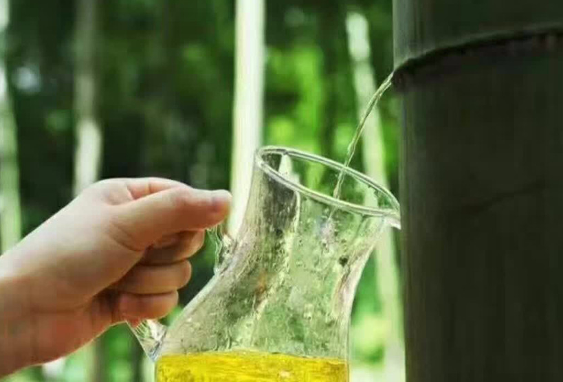 原创竹筒酒骗局又曝光前脚把白酒注射竹子中后脚就接出来