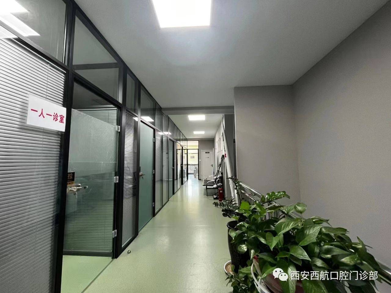 我向往的口腔夫妻店武医生工作狂从不休假