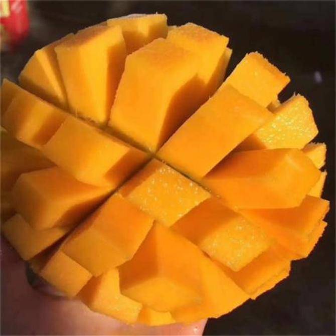 凯特芒果怎样才算熟教你三个方法挑出成熟好芒果