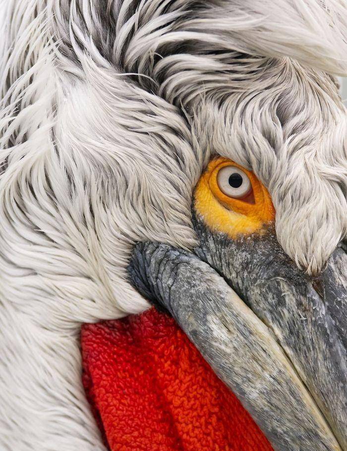 原创2019年国家地理旅游摄影大赛进入决赛的30张照片