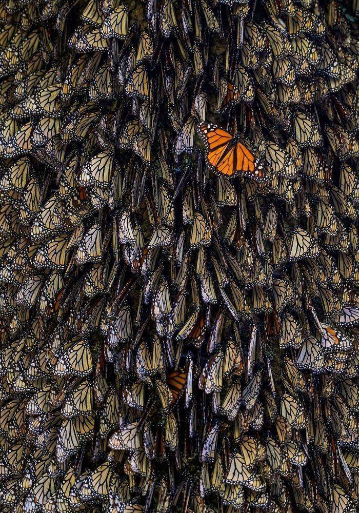 原创2019年国家地理旅游摄影大赛进入决赛的30张照片