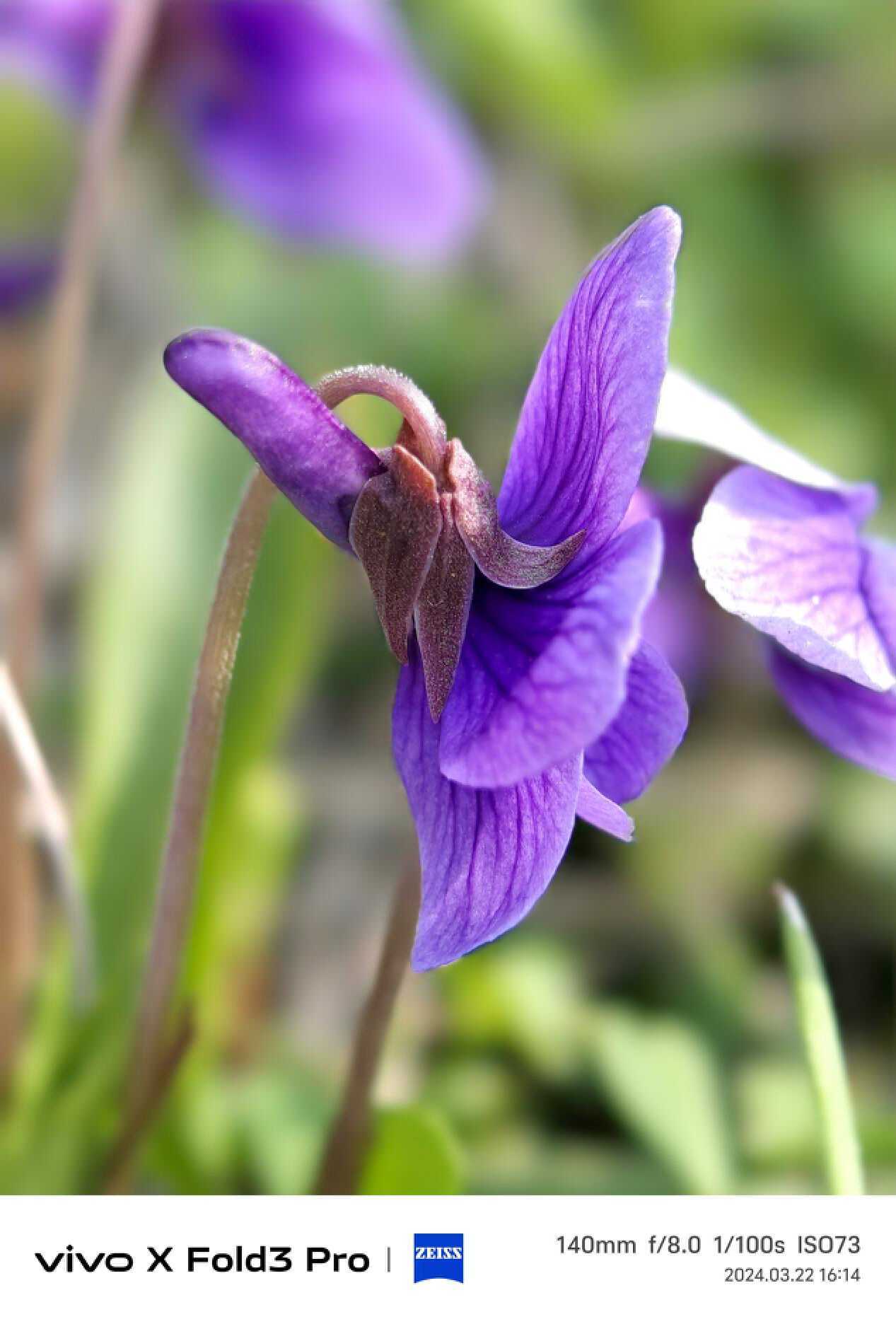 vivoxfold3pro入手体验这么轻那么强轻羽白太亮眼