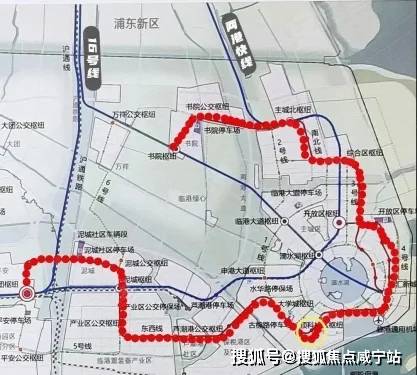 发布于上海市