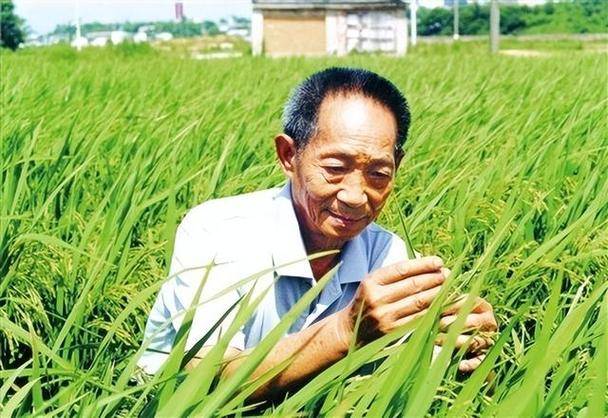 真正做到"专精",你也能成为大师_数学_研究_陈省身