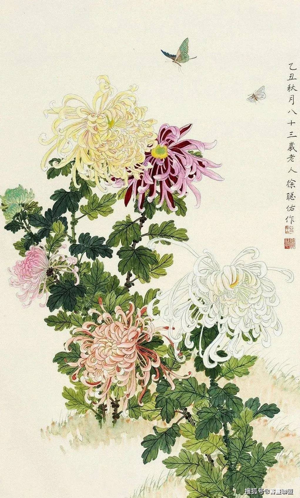 关于菊花的绘画作品图片