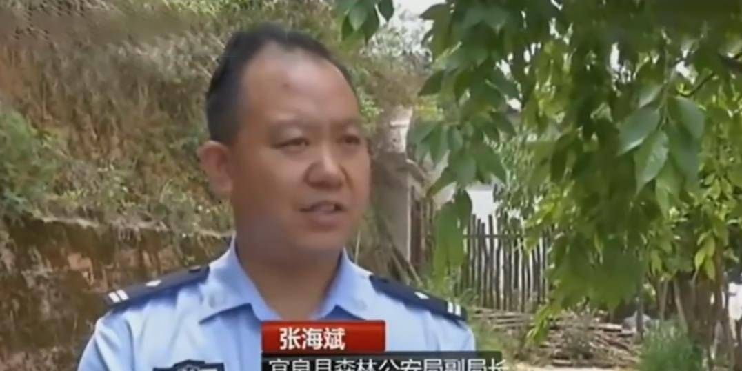 原创2007年男子购买藏獒幼崽回家喂养发现端倪后主动报警