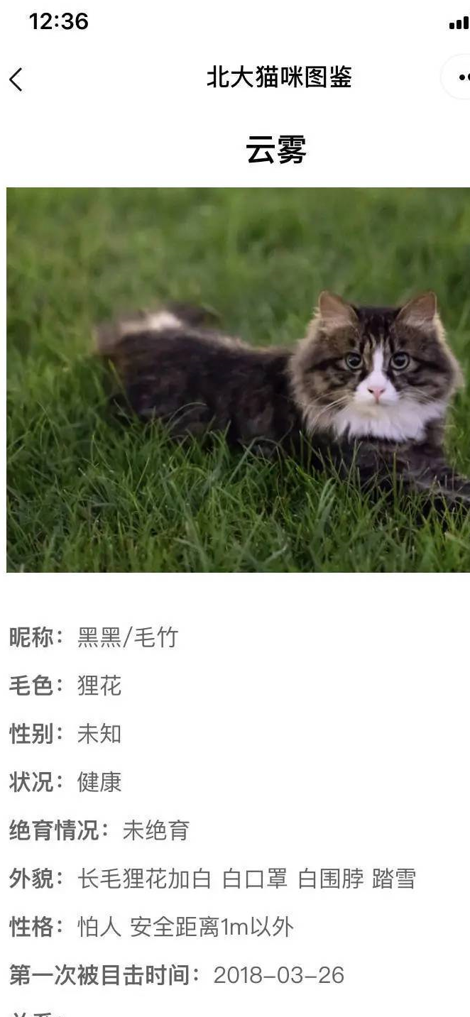 给流浪猫建档案,不愧是北大!只是这些猫的画风有点不对劲
