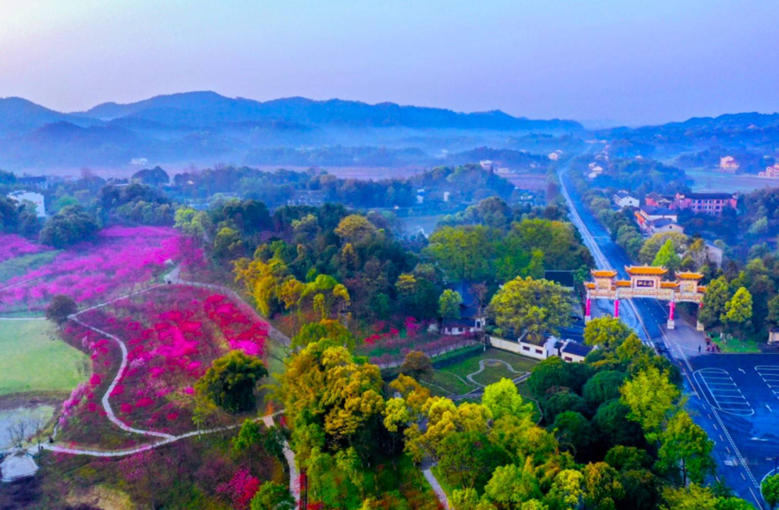 附近花海旅游景点图片