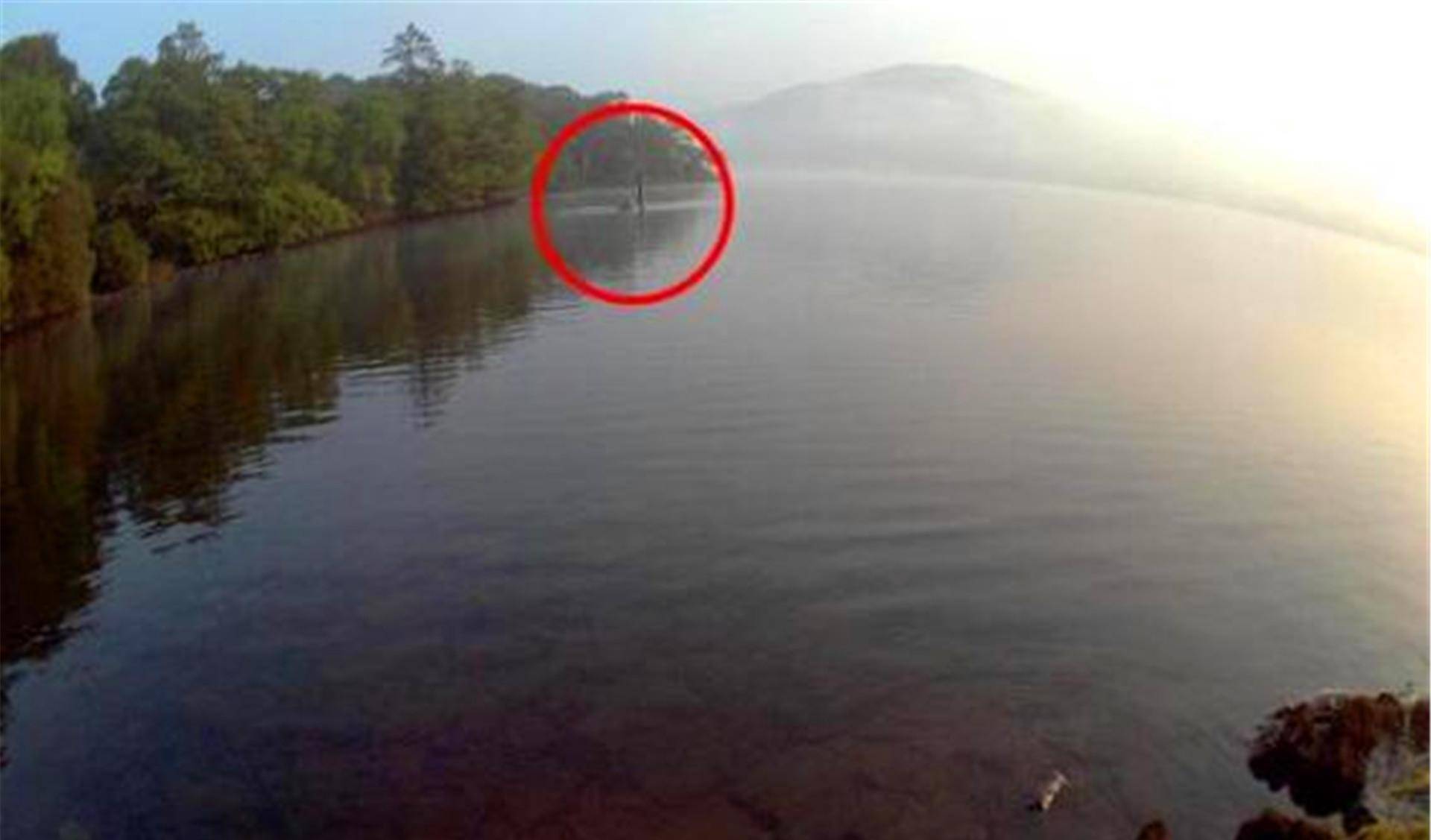 新疆湖中出现"水怪",牛羊被拖走无人敢靠近,专家看后揭晓答案