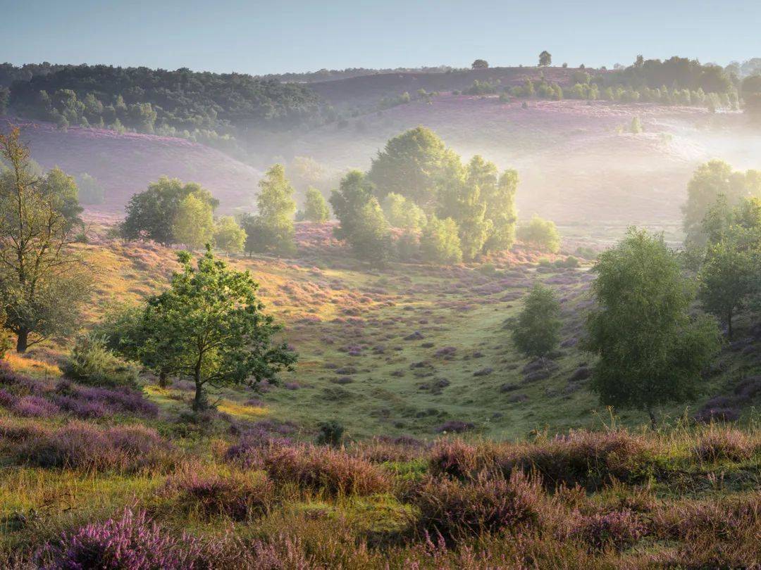 哈苏x2d100c光影随心轻享中画幅