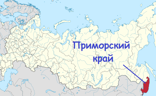 俄罗斯远东这么大地盘,不会只给中国留位置,朝鲜也想_