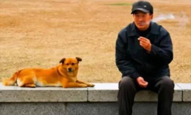 原创他杀人狗吃人93年出演电影老人与狗拍完后人狗皆被处死