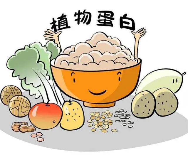 优质"蛋白质"排行榜,豆腐未上榜,牛奶排倒数,建议早了解